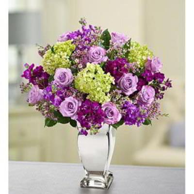 Cedar Knolls Florist | Lavender Collection