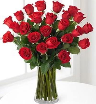 Cedar Knolls Florist | 24 Red Roses