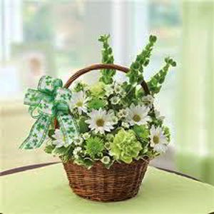 Cedar Knolls Florist | Irish Basket