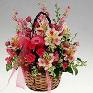 Cedar Knolls Florist | Basket of Pinks