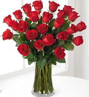 Cedar Knolls Florist | 24 Red Roses