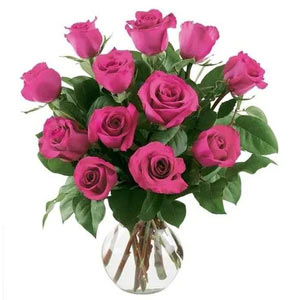 Cedar Knolls Florist | 12 Bright Pink Roses