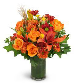 Cedar Knolls Florist | Autumn Beauty