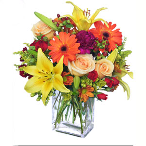 Cedar Knolls Florist | Fall Blush