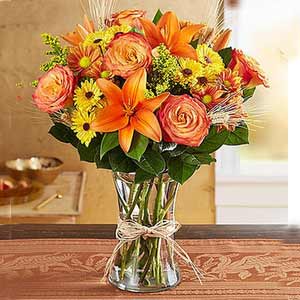 Cedar Knolls Florist | Fall Collection