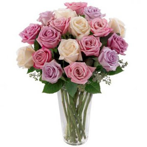 Cedar Knolls Florist | 18 Pastel Roses