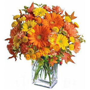 Cedar Knolls Florist | Autumn Gathering