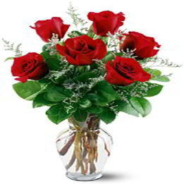 Cedar Knolls Florist | Six Red Roses