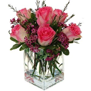 Garden Terrace Nursing Home  | 6 Two Tone Roses