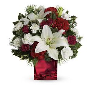 Cedar Knolls Florist | Holiday Collection