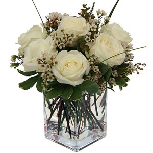 Cedar Knolls Florist | 6 White Roses