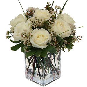 Morris HIlls Center | 6 White Roses