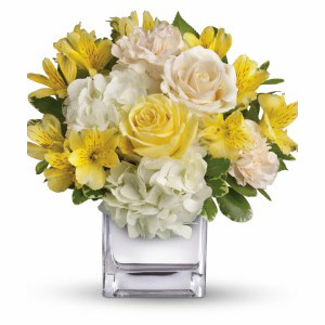 Cedar Knolls Florist | Bright Collection