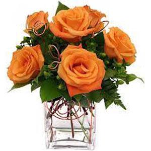 Cedar Knolls Florist | 6 Orange Roses