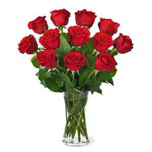 Cedar Knolls Florist | Dz Red Roses