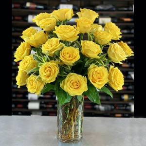 Cedar Knolls Florist | 24 Yellow Roses